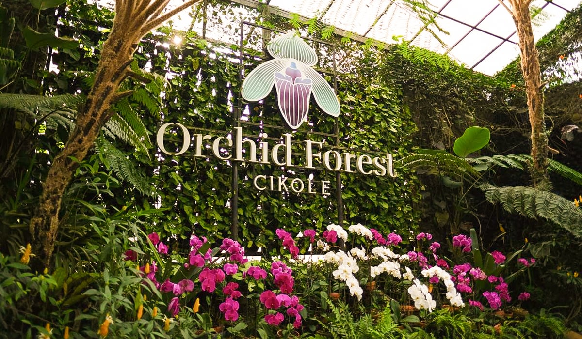 Orchid Forest Cikole: Pesona Wisata Alam Lembang yang Romantis dan Destinasi Outbound Penuh Kenangan!